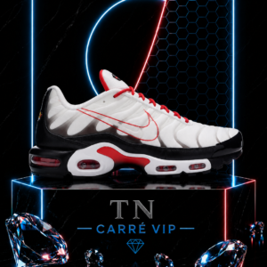 TN Script Swoosh Kids