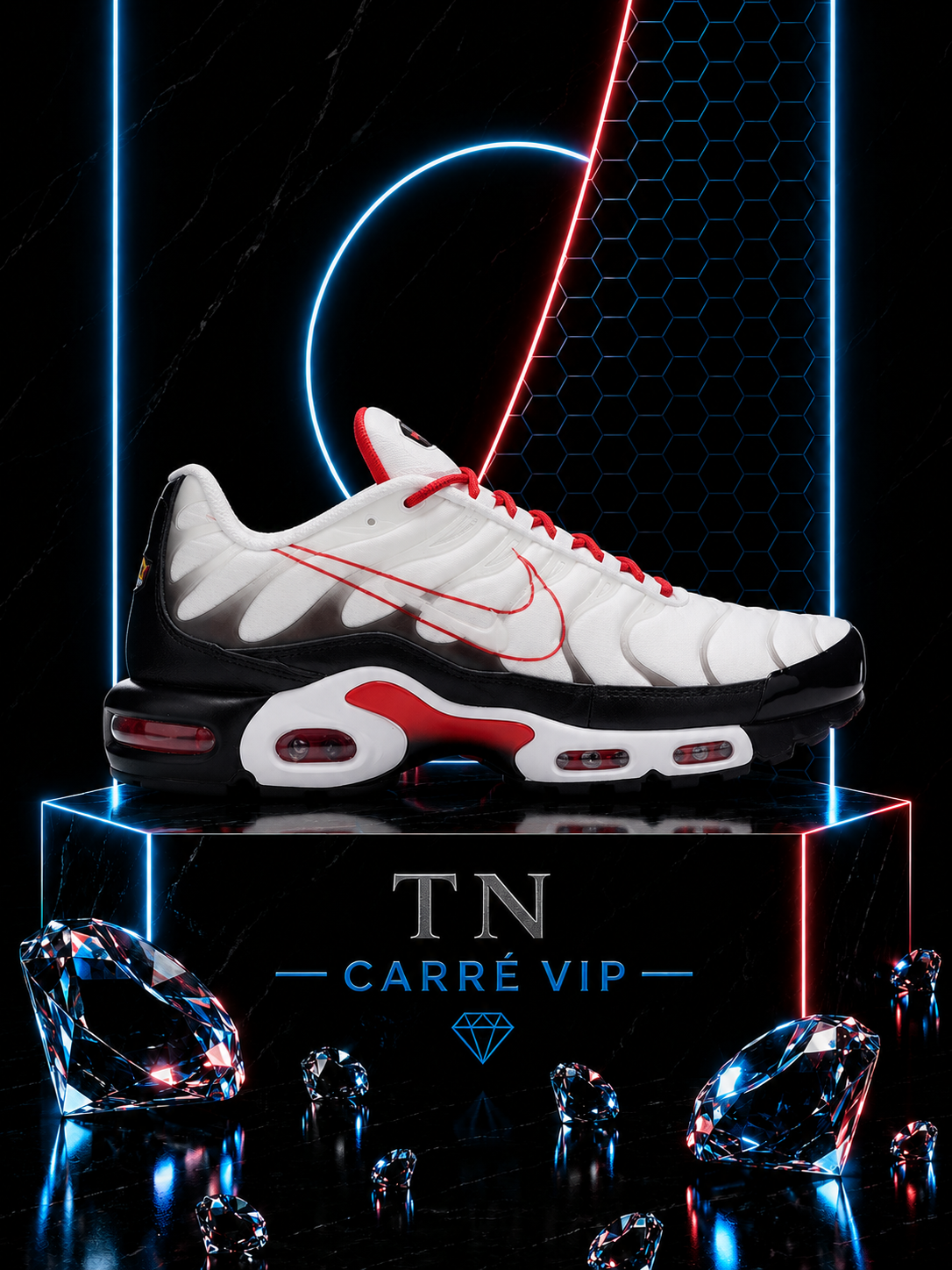 TN Script Swoosh Kids