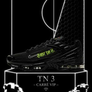 TN 3 Just Do It